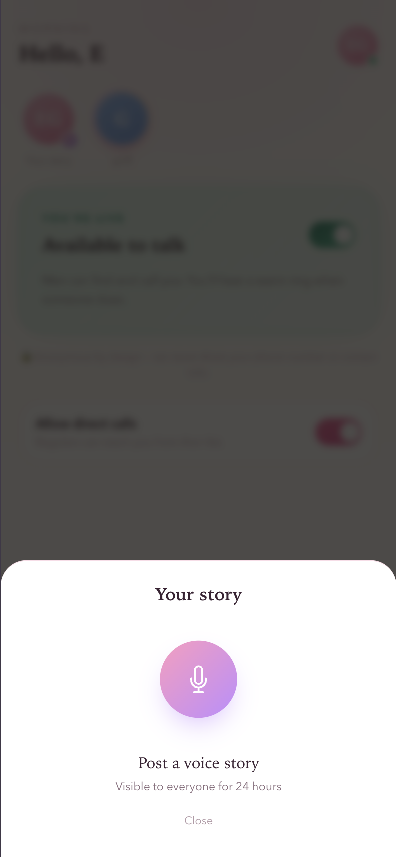 The voice story sheet: one record button, labelled Post a voice story, visible to everyone for 24 hours.